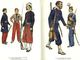 Delcampe - Uniforms Of The American Civil War In Colour 1861-1865,99 Pages Sur DVD,more Than 210 Uniforms Photos And Described - Uniformen