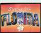Greetings From, Florida, United States US Postcard Posted 2013 Stamp - Autres & Non Classés