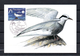 NOUVELLE CALEDONIE 2009 CARTE MAXIMUM TIMBRES N°1066/68 OISEAUX - LES STERNES - Tarjetas – Máxima