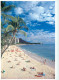 Waikiki, Honolulu, Hawaii, United States US Postcard Posted 2009 Stamp - Honolulu