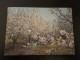 Moldova Orchards In Blossom Landscape - Front/back Scan - 2 Images - Moldavie