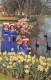 ""Keukenhof"" Lisse - Lisse