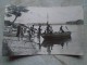 D144199 Hungary  Mohács  Duna Danube Donau Real Photo  Postcard  1950-60 - Singes