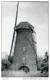 BERENDRECHT (Prov. Antwerpen) - Molen/moulin - De Buitenmolen In Verval Met Twee Wieken Voor De Restauratie (1987) - Antwerpen