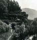 Italie Lac De Côme Bellagio Villa Serbelloni Jardins Ancienne Photo Stereo Wehrli 1900 - Stereoscopic