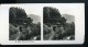 Italie Lac De Côme Bellagio Villa Serbelloni Jardins Ancienne Photo Stereo Wehrli 1900 - Stereoscopic