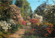 Leonardslee Gardens, Sussex, England Postcard Unposted - Other & Unclassified