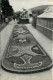 Carpet Bedding, Wannock Gardens, Sussex, England RP Postcard Unposted - Other & Unclassified