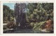 USA, GRAND RAPIDS MI, JOHN BALL PARK, WEEPING WILLOW AND RUSTLE BRIDGE, C1927 Old Vintage Michigan Postcard [6455] - Grand Rapids