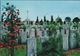 Grote Kaart Passendale Zonnebeke Ieper Passchendaele Tyne Cot Cemetery Militaire Begraafplaats WW1 WWI 1914 1918 - Ieper