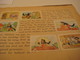 Delcampe - Disney C1950 , 12 Complete Albums Chocolate Chokolade De Beukelaer  Film Davy Crocket,  Dumbo, Davy Crocket   Indians VG - Autres & Non Classés