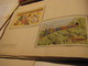 Delcampe - Disney C1950 , 12 Complete Albums Chocolate Chokolade De Beukelaer  Film Davy Crocket,  Dumbo, Davy Crocket   Indians VG - Autres & Non Classés