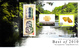 New Zealand Set Of 3 'Best Of 2010' Stamp Rewards Miniature Sheet On Covers Dated December 31, 2010 - Covers & Documents