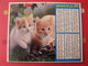 Calendrier Illustré En Carton De 1979. Almanach Des PTT Postes Facteur. Oberthur. Chien Chat - Tamaño Grande : 1971-80