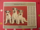 Calendrier Illustré En Carton De 1968. Almanach Des PTT Postes Facteur. Oberthur. Chat Chien - Grand Format : 1961-70