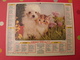 Calendrier Illustré En Carton De 1980. Almanach Des PTT Postes Facteur. Jean Lavigne. Chat Chien - Big : 1971-80