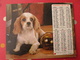 Calendrier Illustré En Carton De 1981. Almanach Des PTT Postes Facteur. Chien - Formato Grande : 1981-90