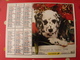 Calendrier Illustré En Carton De 1998. Almanach Des PTT Postes Facteur. Chien Chat - Grand Format : 1991-00