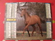 Calendrier Illustré En Carton De 1996. Almanach Des PTT Postes Facteur. Cheval Poulain - Grand Format : 1991-00