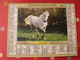 Calendrier Illustré En Carton De 1995. Almanach Des PTT Postes Facteur. Cheval Poulain - Grand Format : 1991-00