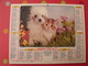 Calendrier Illustré En Carton De 1980. Almanach Des PTT Postes Facteur. Chien Chat - Tamaño Grande : 1971-80