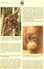 WWF-Set 79 Orang Utan Naturschutz 1989 Indonesien 1291/4 FDC 30&euro; Affen Dokumentation Wildlife Fauna Cover Set INDON - Lettres & Documents
