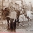 Franchement  / Attelage Provençal / Chevaux / Horse / Pferd / Cavallo / Paard Kar / Cart /  / Charrette  / LL  104 - Professions