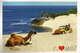 Praia / Parque Turístico Ecologico Dunas De Genipabu (Natal), Postcard Brasil Addressed To ANDORRA - Natal