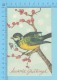 CPM - Bird, Oiseau,Vogel, Uccello, Pájaro - 2 Scans - Oiseaux