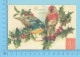 CPM - Bird, Oiseau,Vogel, Uccello, Pájaro - 2 Scans - Oiseaux