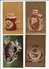 Delcampe - Meissner 18th Century Porcelains. 1975. Hermitage. Leningrad. 19 Postcards - Cartes Porcelaine