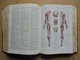 Delcampe - Ancien - Dictionnaire NOUVEAU LAROUSSE MEDICAL 1952 - Dictionaries