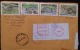 Vietnam Viet Nam Registered Cover With Hemingway Stamp On Front &amp; A Full Set Of WWF FIshing Cat On The Back / 02 Ima - Lettres & Documents