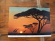 Acacia Trees East African Sunset - Sambia