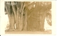 MEXIQUE CARTE PHOTO ARBOL DEL TULE OAXACA OAX 162 MOTEL MARGARITA - Mexique