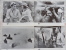 Affichettes De Cinéma - " Première Victoire "  / Otto Preminger - ( Jeu B  )  - Un Film Paramount - Posters