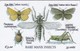 Isle Of Man, MAN 080,  3 £, Manx Insects, 2 Scans. - Man (Ile De)