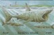 Isle Of Man, MAN 086,  2 £, Basking Shark, 2 Scans. - Man (Eiland)