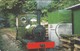 Isle Of Man, MAN 103, Steam Trains, Engine No.2, Sea Lion, 2 Scans. - Isla De Man