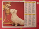 Almanach Des PTT. 1981. Mayenne Laval. Calendrier Poste, Postes Télégraphes. Chein Chat - Big : 1971-80