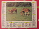 Almanach Des PTT. 1984. Mayenne Laval. Calendrier Poste, Postes Télégraphes. Cheval Poulain Ferme Corrèze - Tamaño Grande : 1981-90