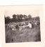 Delcampe - 25963 Six 6 Photo BELGIQUE  - Camp Ecole  -scout -scoutisme -avant 1945 -repas Ferme - Guerre, Militaire