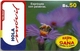 Bolivia - Cotas - Flower And Bee - 12.2003, 200.000ex, GSM Refill, Used - Bolivia