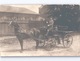 3 Deutsche Foto-AK Mit Pferdekutsche 3 Cpa Avec Chevaux 3 GERMAN RPPC With HORSE CARRIAGES WWI C. 1915 - Pferde