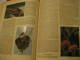 Delcampe - CIGARETTEN BILDERDIENST 125 Complete ALBUM Book Cards FAUNA German Language Period 1930's Aprox. 128 Pages. - Albums & Catalogues