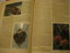 Delcampe - CIGARETTEN BILDERDIENST 125 Complete ALBUM Book Cards FAUNA German Language Period 1930's Aprox. 128 Pages. - Albumes & Catálogos