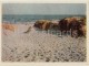 Beach - Dunes - Palanga - Lithuania USSR - Unused - Lituanie