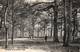 CPA - BEYNES (78) - Arbres - Aspect Du Carrefour De La Grande Table Dans Les Bois De Beynes En 1931 - Beynes