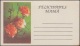 1994-EP-33 CUBA 1994. POSTAL STATIONERY PERIODO ESPECIAL CARD. FLORES FLOWERS UNCATALOGUED. ERROR DOUBLE ENGRAVING. - Lettres & Documents