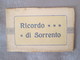 RICORDO DI  SORRENTO . CARNET - Altri & Non Classificati